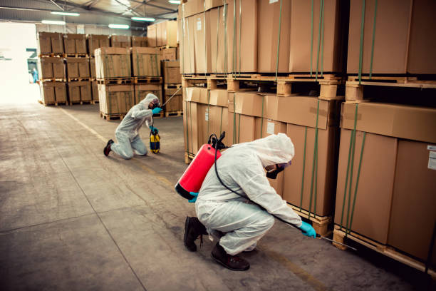 Best Best Pest Control Companies  in Slocom, AL