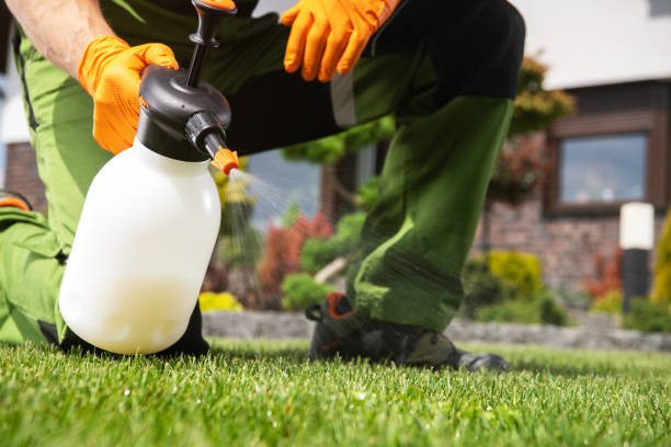 Best Insect Control  in Slocom, AL