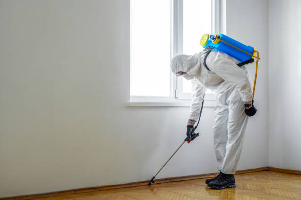 Best Termite Control Services  in Slocom, AL