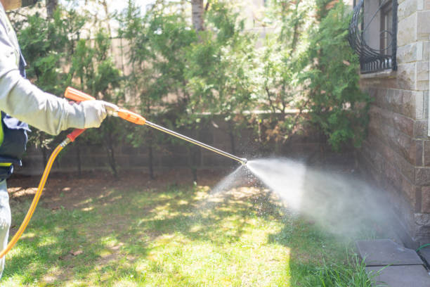 Best Best Pest Control Companies  in Slocom, AL