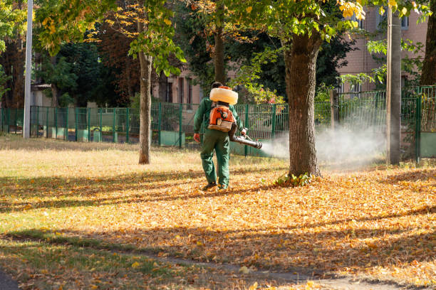 Flea Control Services in Slocom, AL