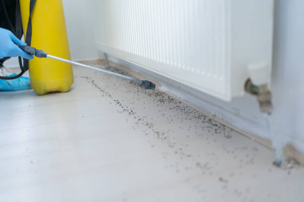 Best Mosquito Control Services  in Slocom, AL