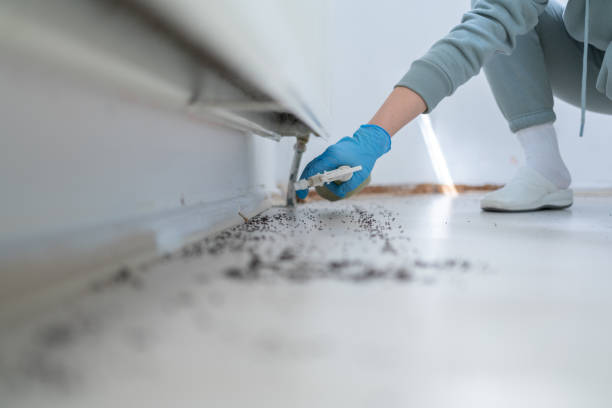 Best Wildlife Control Services  in Slocom, AL