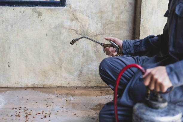 Wasp Removal Services in Slocom, AL