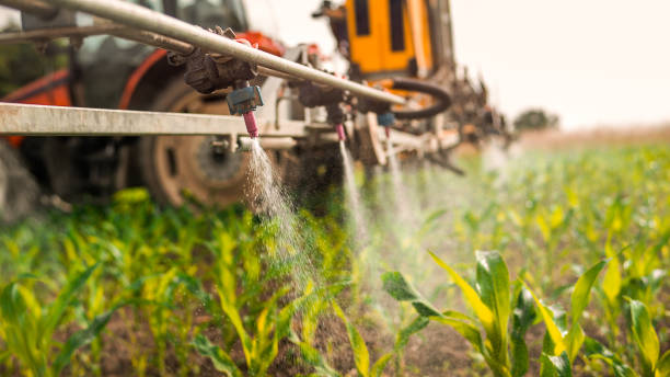 Best Commercial Pest Control Services  in Slocom, AL